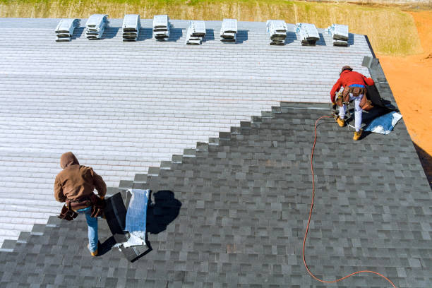 Best Roof Gutter Cleaning  in Star City, WV